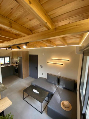 Olive Tree Apartments